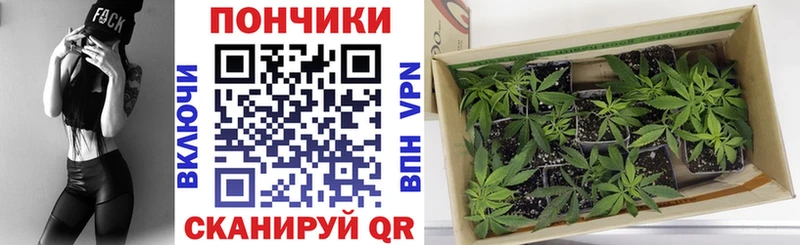 Конопля Асбест