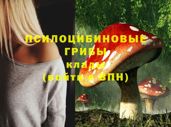 a pvp Аркадак
