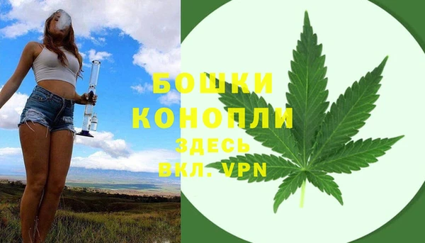 a pvp Аркадак