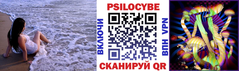 Галлюциногенные грибы Psilocybine cubensis  Асбест 